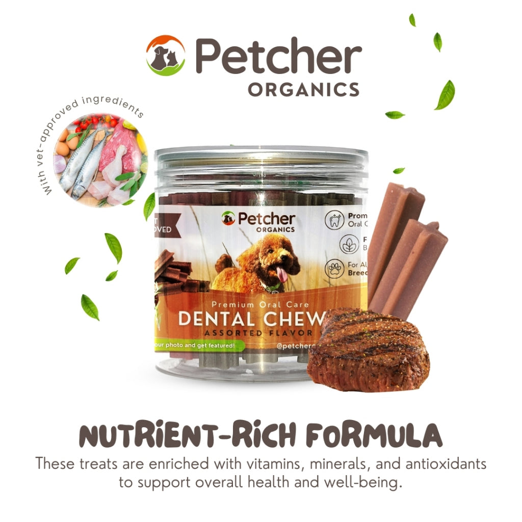 Petcher Bundle of 6 Assorted Dental Sticks Jar for Dog Treats