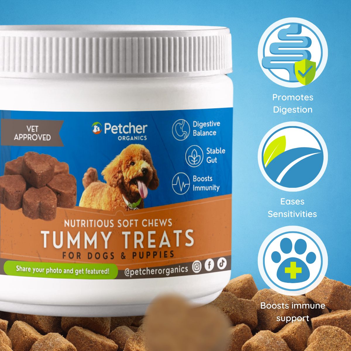 Petcher Bundle of 3 Soft Chews 300g Dog Treats for Happy Tummy, Joints, Skin and Coat
