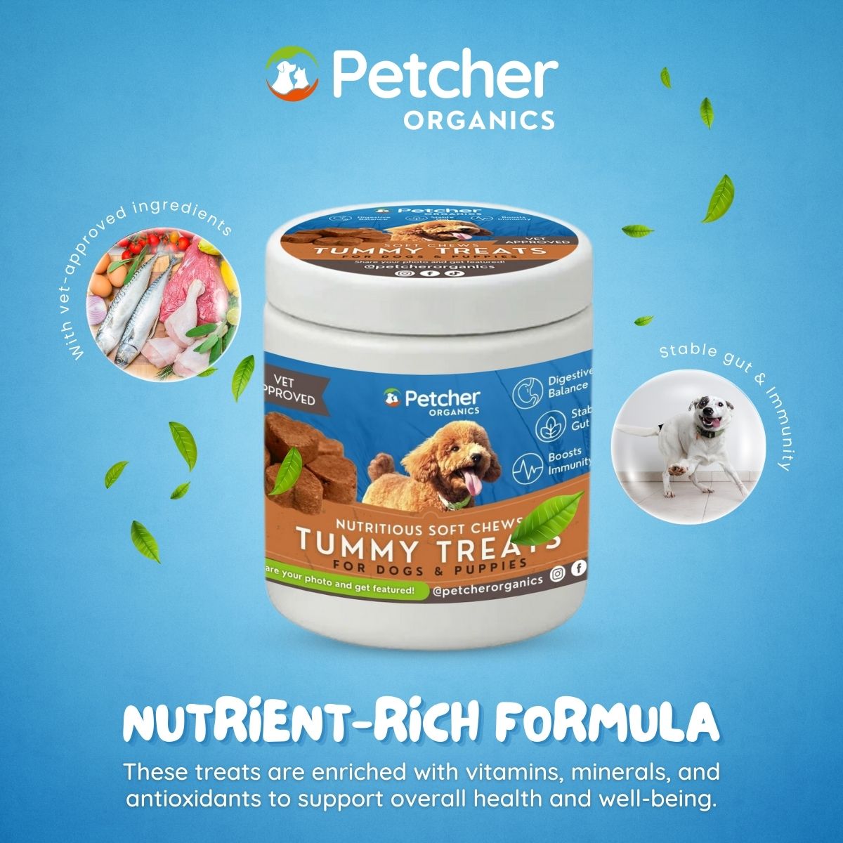 Petcher Bundle of 3 Soft Chews 300g Dog Treats for Happy Tummy, Joints, Skin and Coat