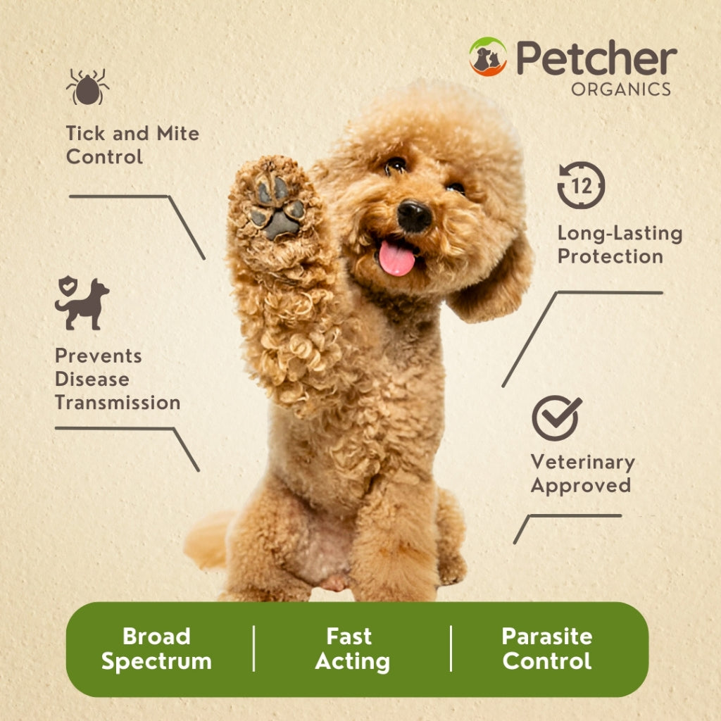 Petcher Tick and Flea Spray 250ml for Dogs and Cats