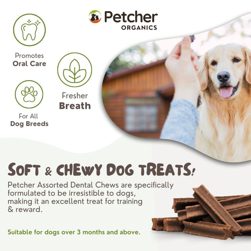Petcher Bundle of 6 Assorted Dental Sticks Jar for Dog Treats