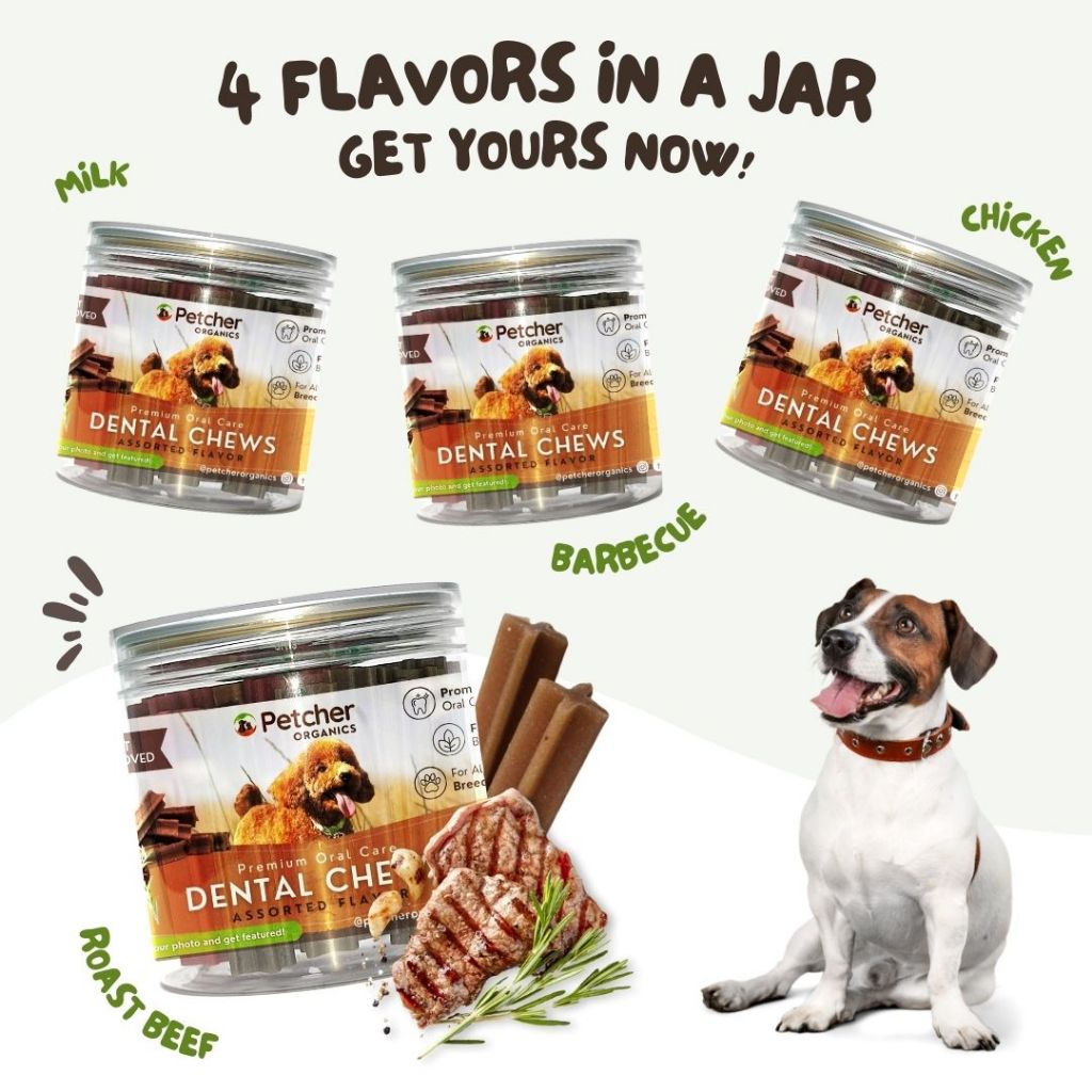 Petcher Bundle of 6 Assorted Dental Sticks Jar for Dog Treats