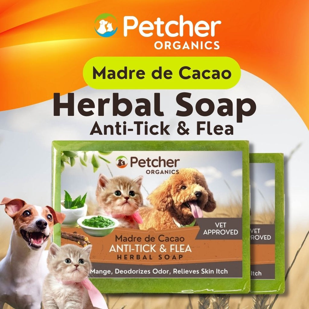 Petcher Madre De Cacao Herbal Soap Tick and Flea Care for Dogs and Cats