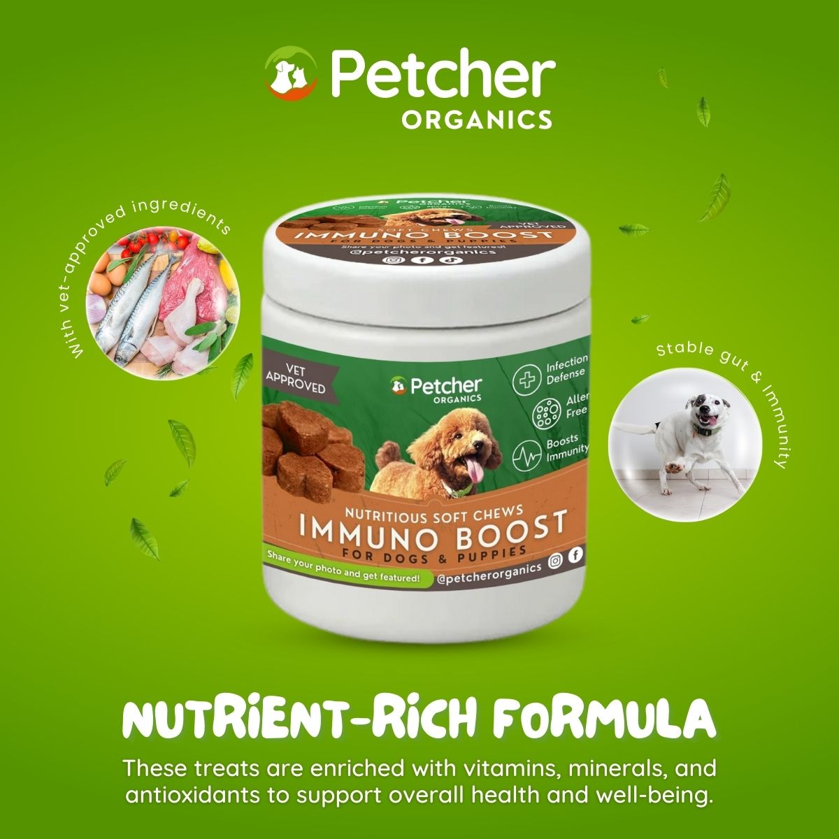 Petcher Bundle of 2 Soft Chews 300g Dog Treats for Skin Coat Care and Immuno Boost