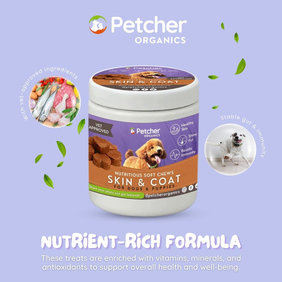 Petcher Skin and Coat Soft Chews 300g Dog Treats for All Breeds