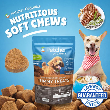 Petcher Probiotic Soft Chews 75g Dog Treats for All Breeds