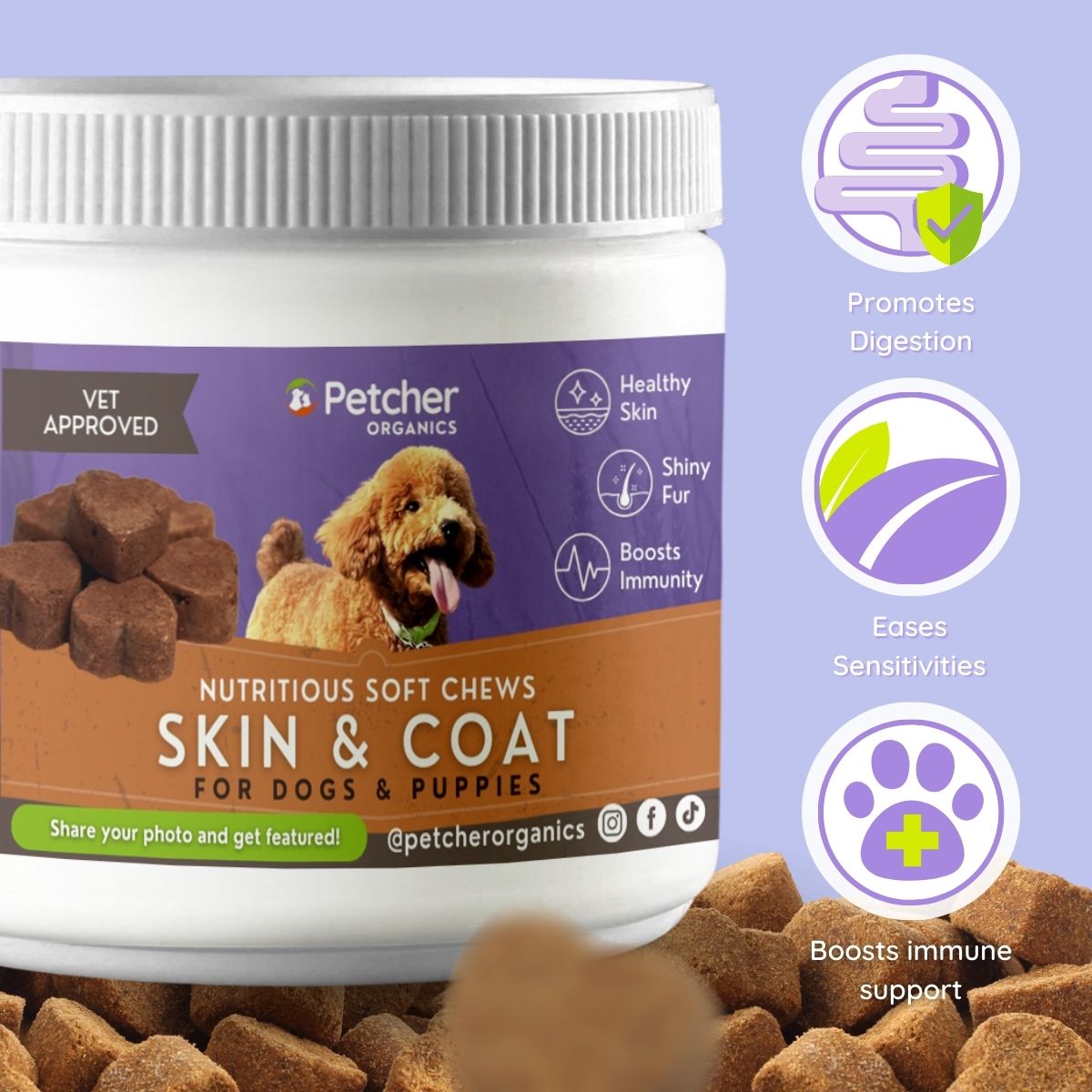 Petcher Skin and Coat Soft Chews Dog Treats 300g and 75g Snack Pouch