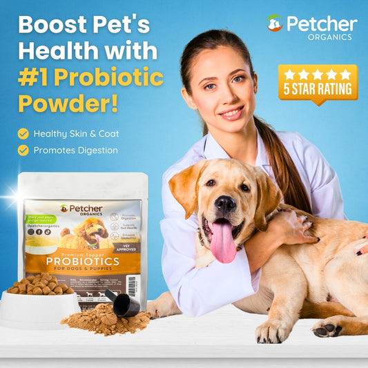 Petcher Probiotic Powder 30g Meal Topper for Dogs