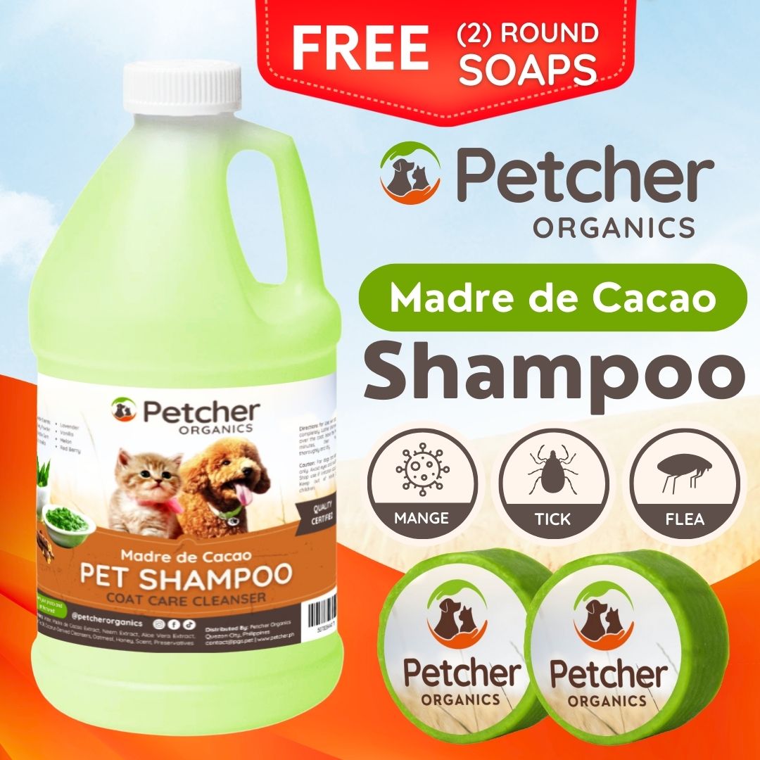 Petcher Madre De Cacao 1/2 Gallon Pet Shampoo with Soap Tick and Flea Care