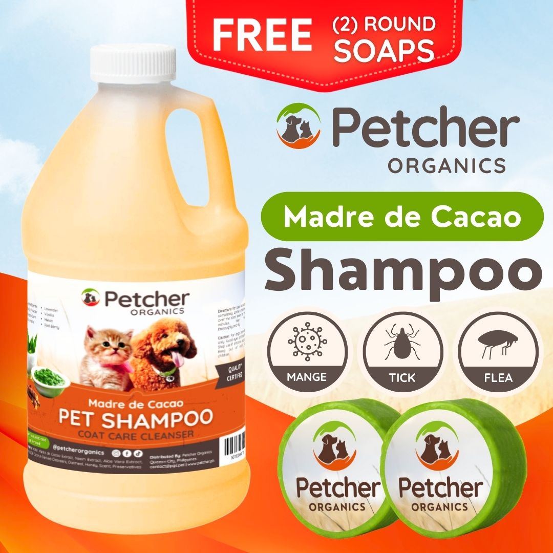 Petcher Madre De Cacao 1/2 Gallon Pet Shampoo with Soap Tick and Flea Care