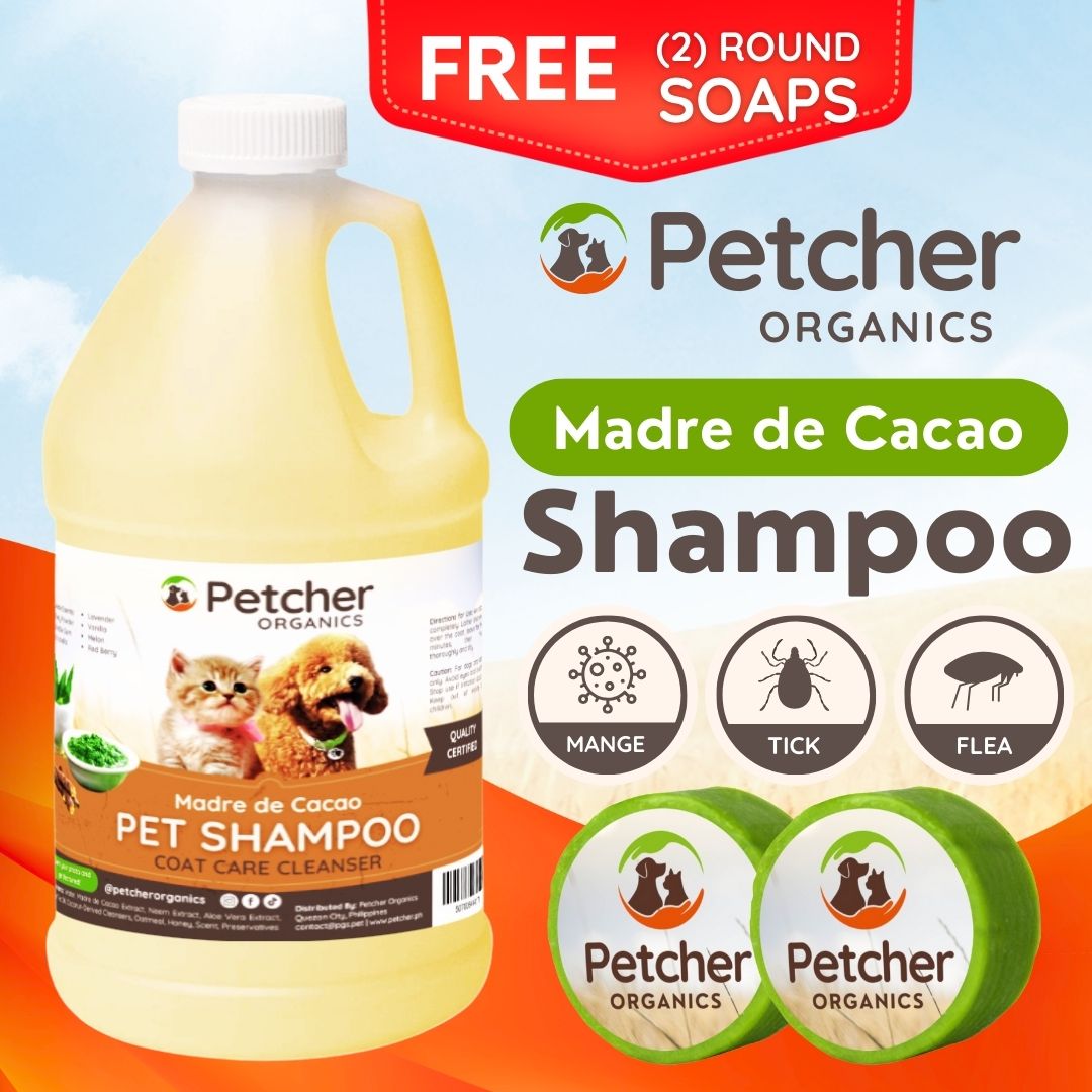 Petcher Madre De Cacao 1/2 Gallon Pet Shampoo with Soap Tick and Flea Care