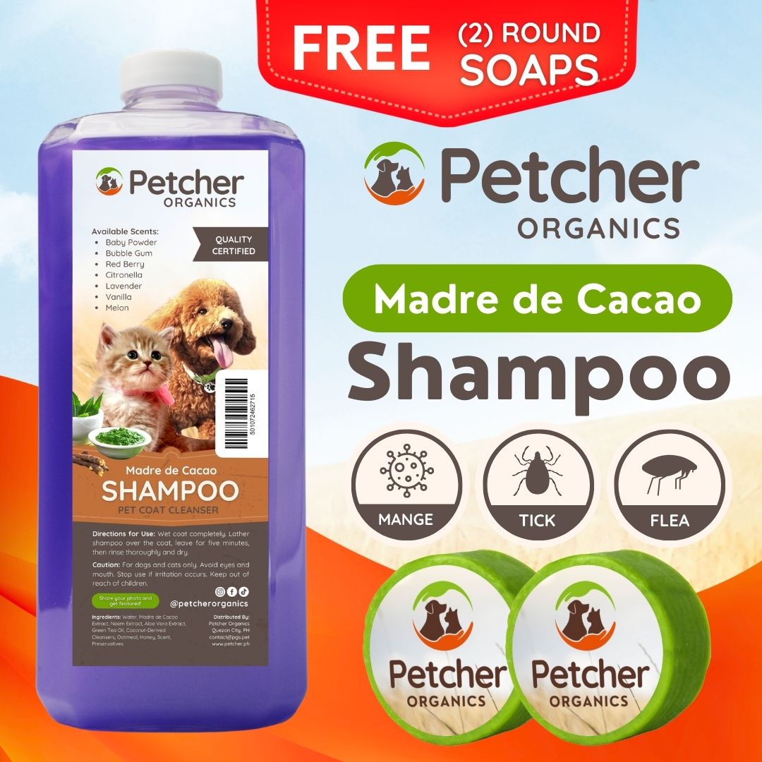 Petcher Madre De Cacao 1 Liter 500ml 250ml Tick and Flea Pet Shampoo