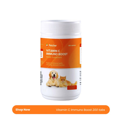 Petcher Pet Multivitamins Skin and Coat Soft Chews for Dogs