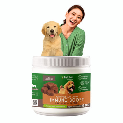 Petcher Immuno Boost Soft Chews 300g Dog Treats for All Breeds