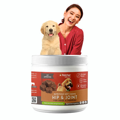 Petcher Hip and Joint Soft Chews 300g Dog Treats for All Breeds