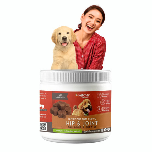 Petcher Hip and Joint Soft Chews 300g Dog Treats for All Breeds