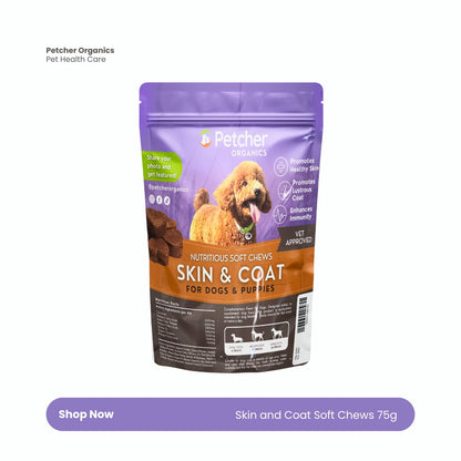 Petcher Skin and Coat Soft Chews Dog Treats 300g and 75g Snack Pouch