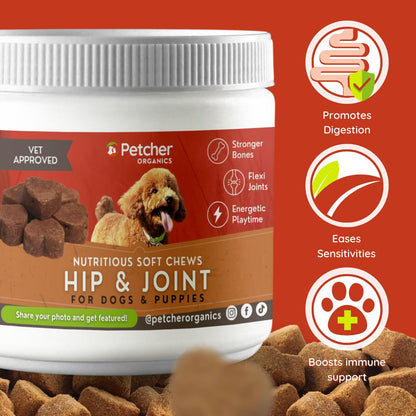 Petcher Bundle of 2 Soft Chews Dog Treats 300g for Skin Coat and Hip Joint Care