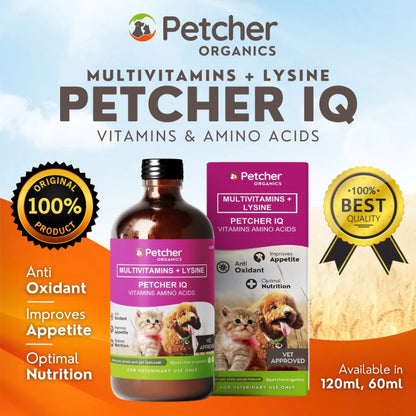 Petcher IQ Multivitamins Plus Lysine Syrup for Dogs and Cats