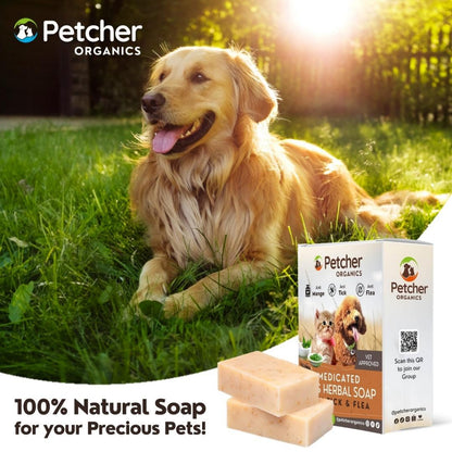 Petcher Herbal Tick and Flea Soap for Dogs and Cats