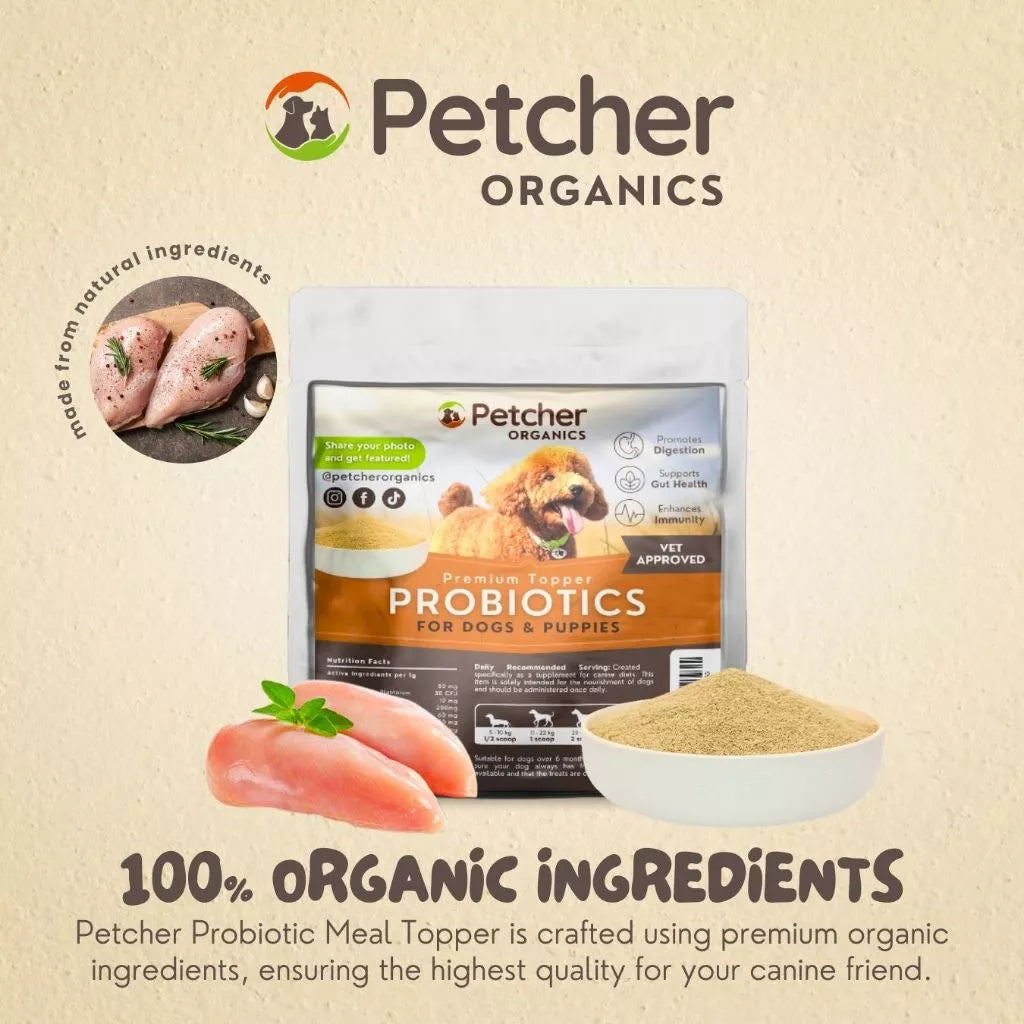 Petcher Probiotic Powder 30g Meal Topper for Dogs