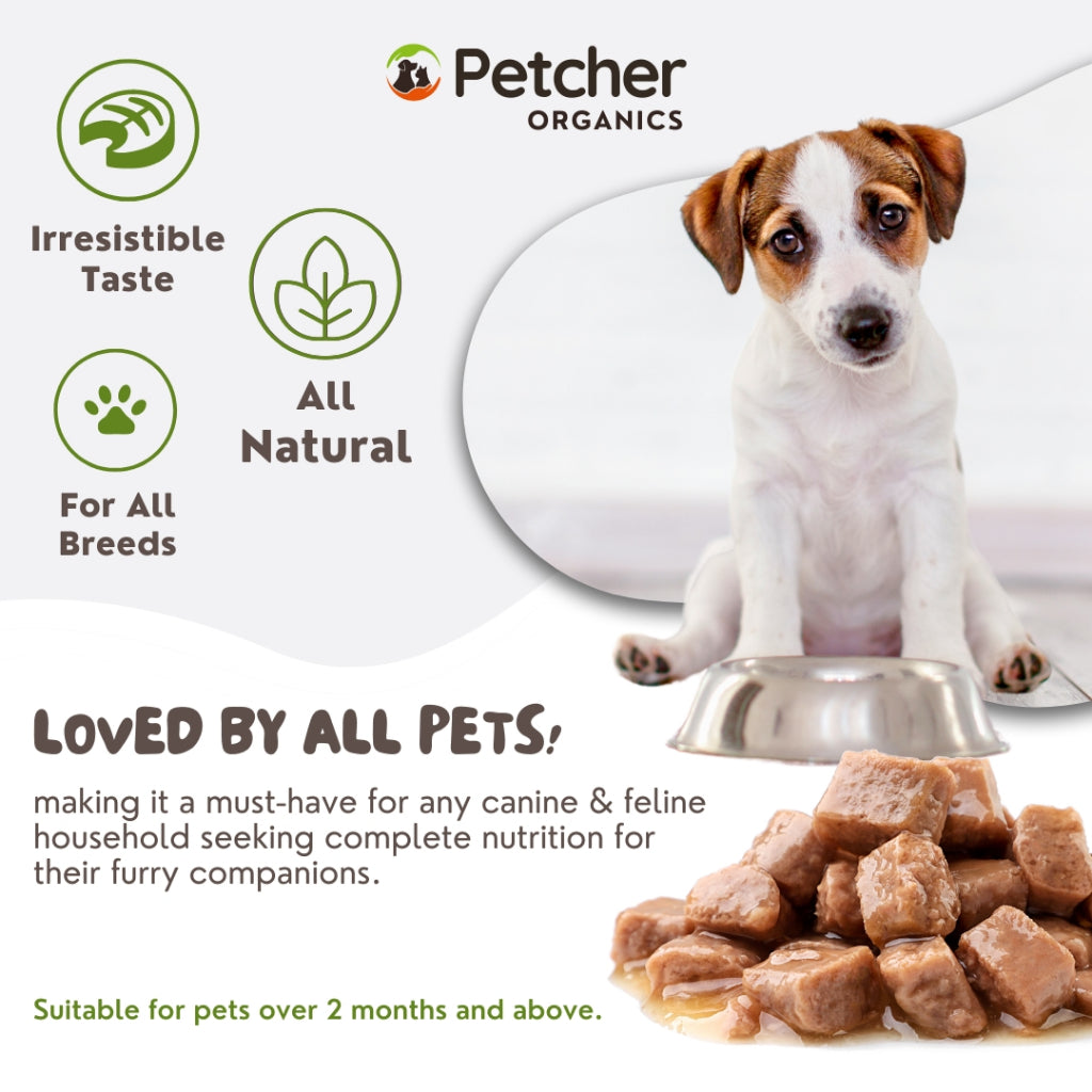 Petcher Wet Food Pouch for Puppies and Dogs