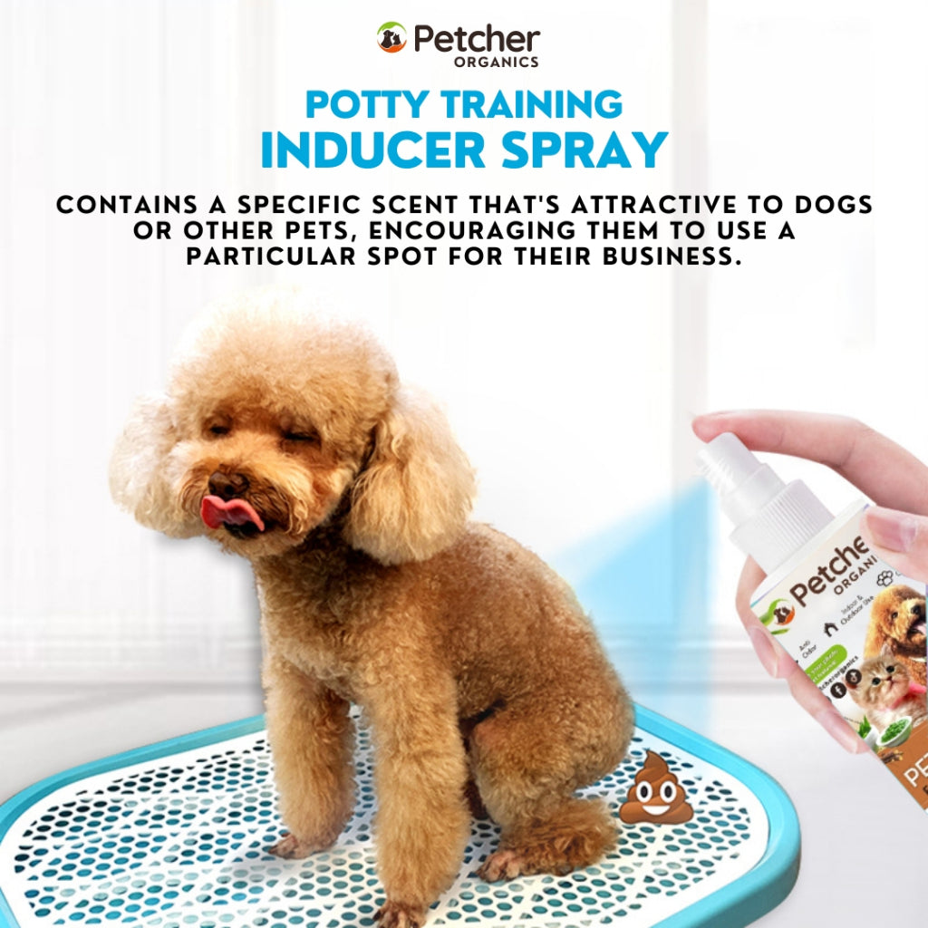 Petcher Dog Potty Inducer Spray 50ml Pet Defecation