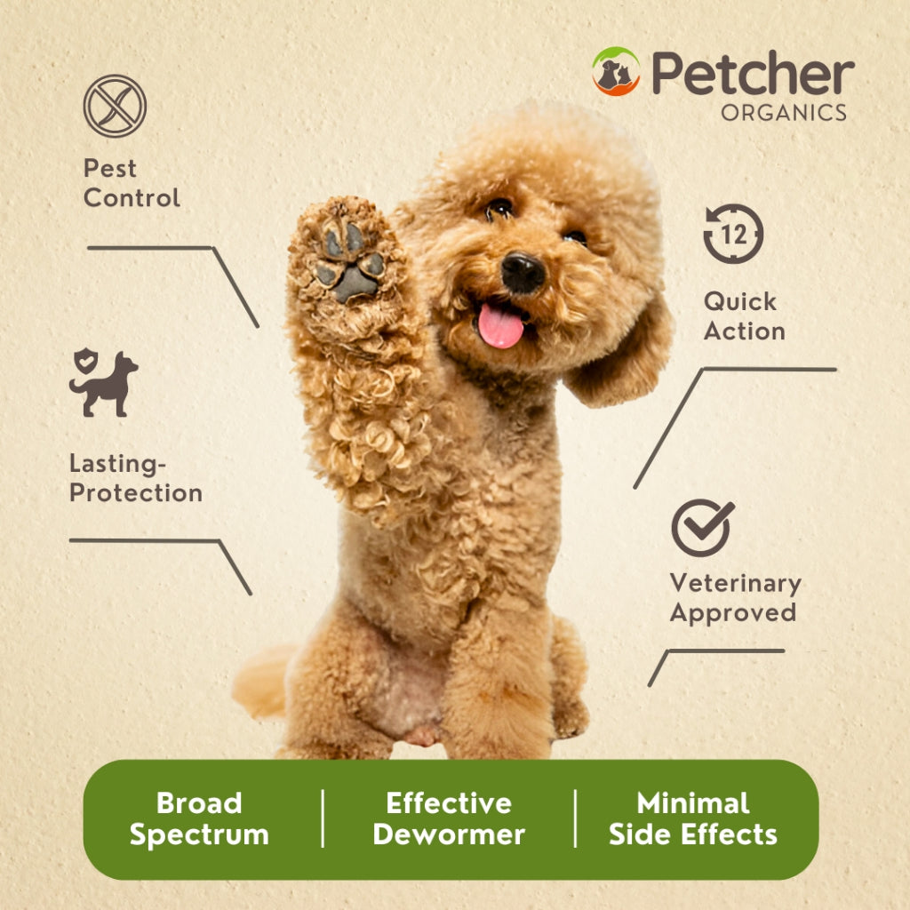 Petcher Praziquantel Tablet 1pc for Dogs and Cats