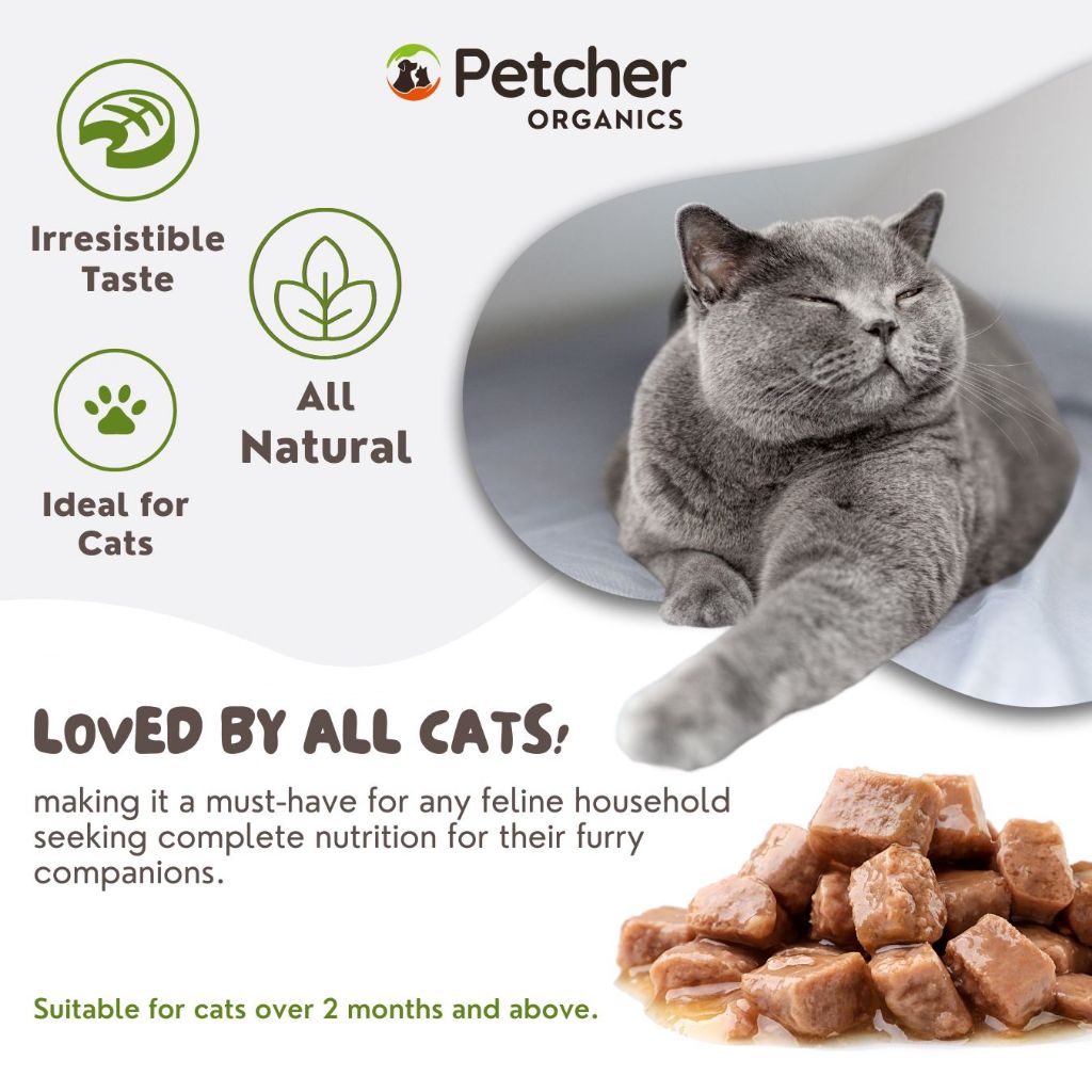 Petcher Wet Food Pouch for Cats and Kittens