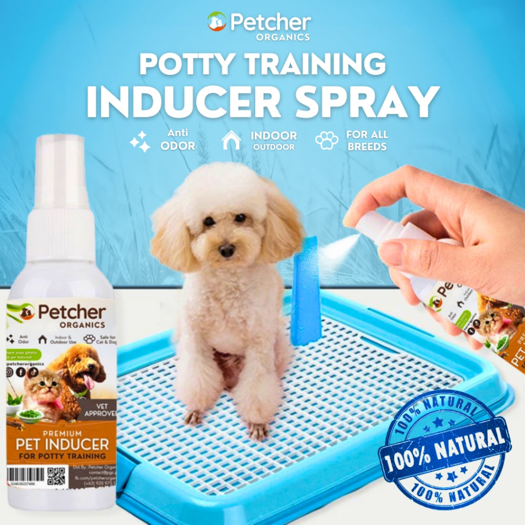 Petcher Dog Potty Inducer Spray 50ml Pet Defecation