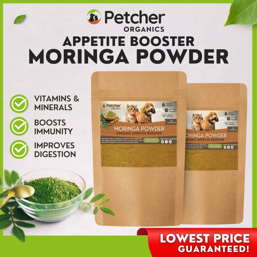 Petcher Pure Moringa Powder 30g and 100g Pet Food Topper