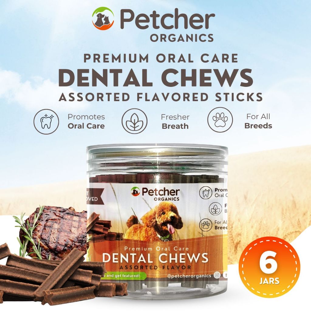 Petcher Bundle of 6 Assorted Dental Sticks Jar for Dog Treats