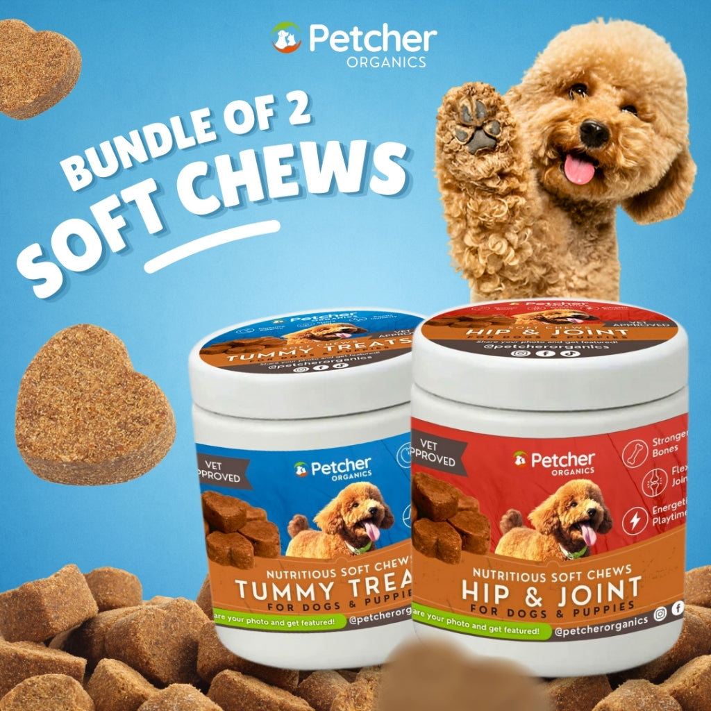 Petcher Bundle of 2 Soft Chews 300g Dog Treats for Healthy Tummy and Joint Care