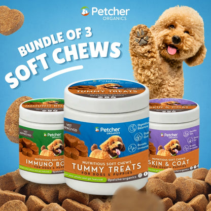 Petcher Bundle of 3 Soft Chews 300g Dog Treats for Immuno Boost, Skin and Coat, Healthy Tummy