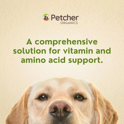 Petcher IQ Multivitamins Plus Lysine Syrup for Dogs and Cats