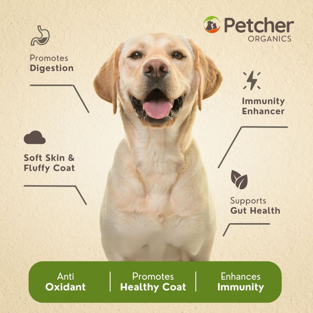 Petcher Furbright Pet Supplement Coat Enhancer for Dogs and Cats