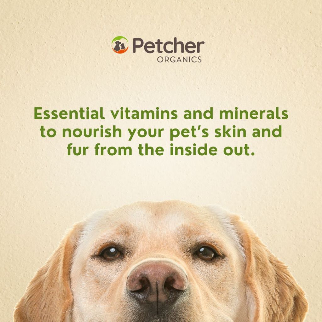 Petcher Furbright Pet Supplement Coat Enhancer for Dogs and Cats