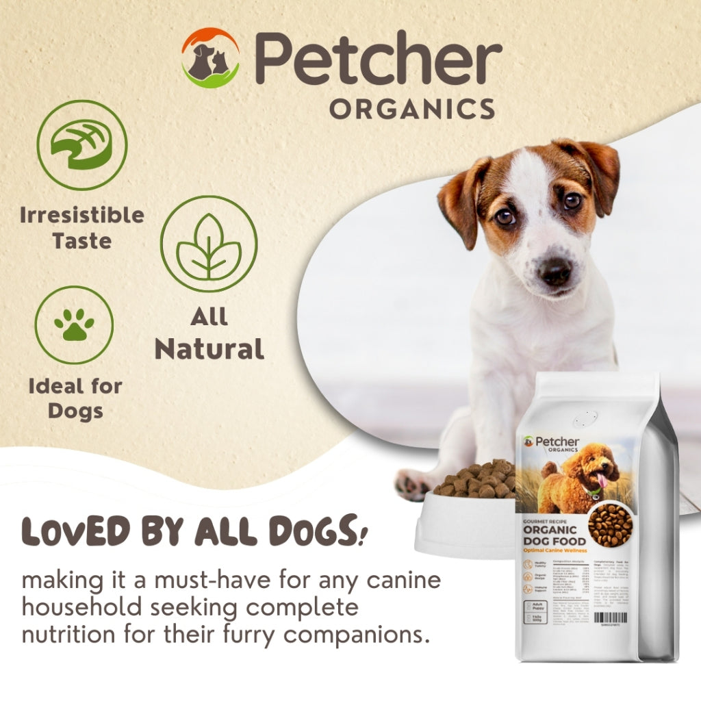 Petcher Adult Dog Dry Food 500g and 1kg Beef Flavor