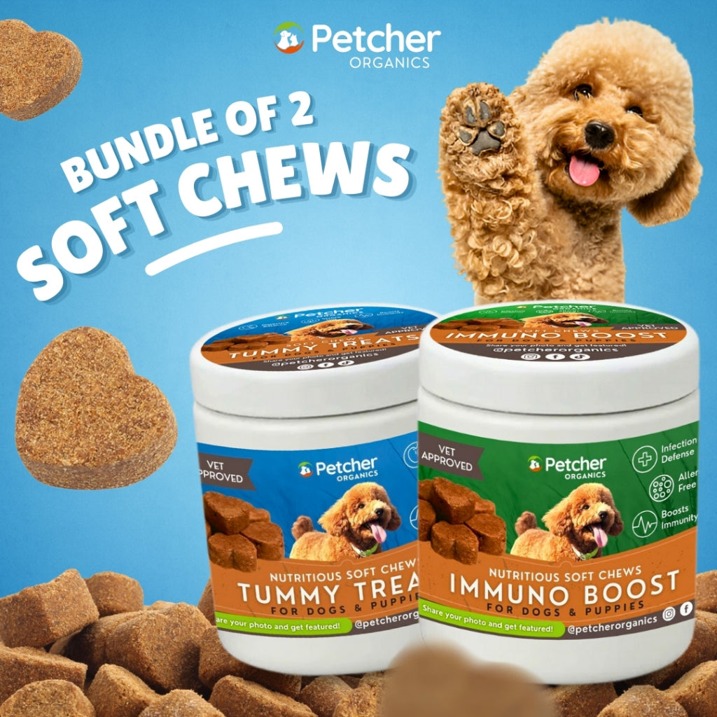 Petcher Bundle of 2 Soft Chews 300g Dog Treats for Healthy Tummy and Immuno Boost