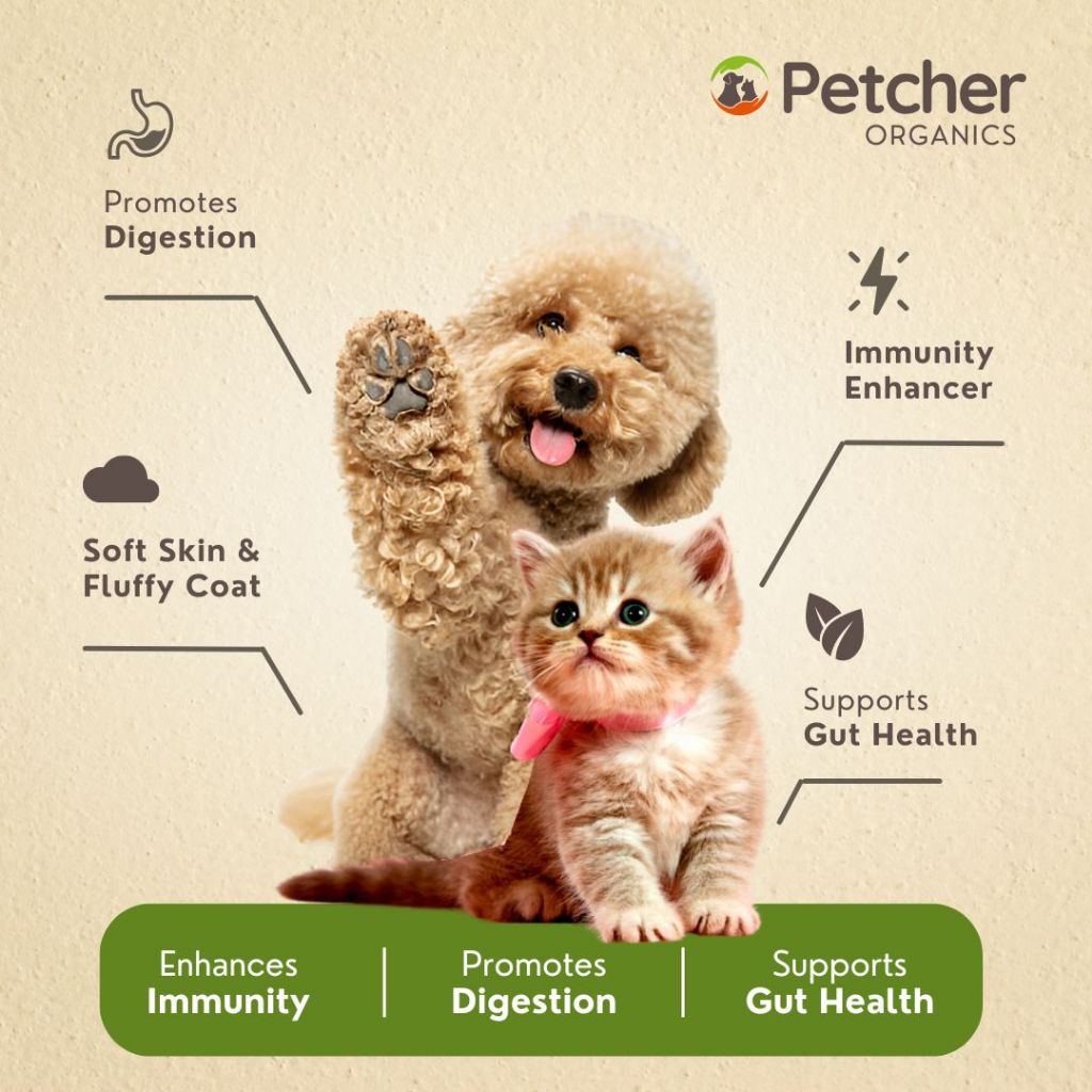 Petcher Pet Probiotic Powder and Salmon Oil Bundle Meal Topper for Dogs and Cats