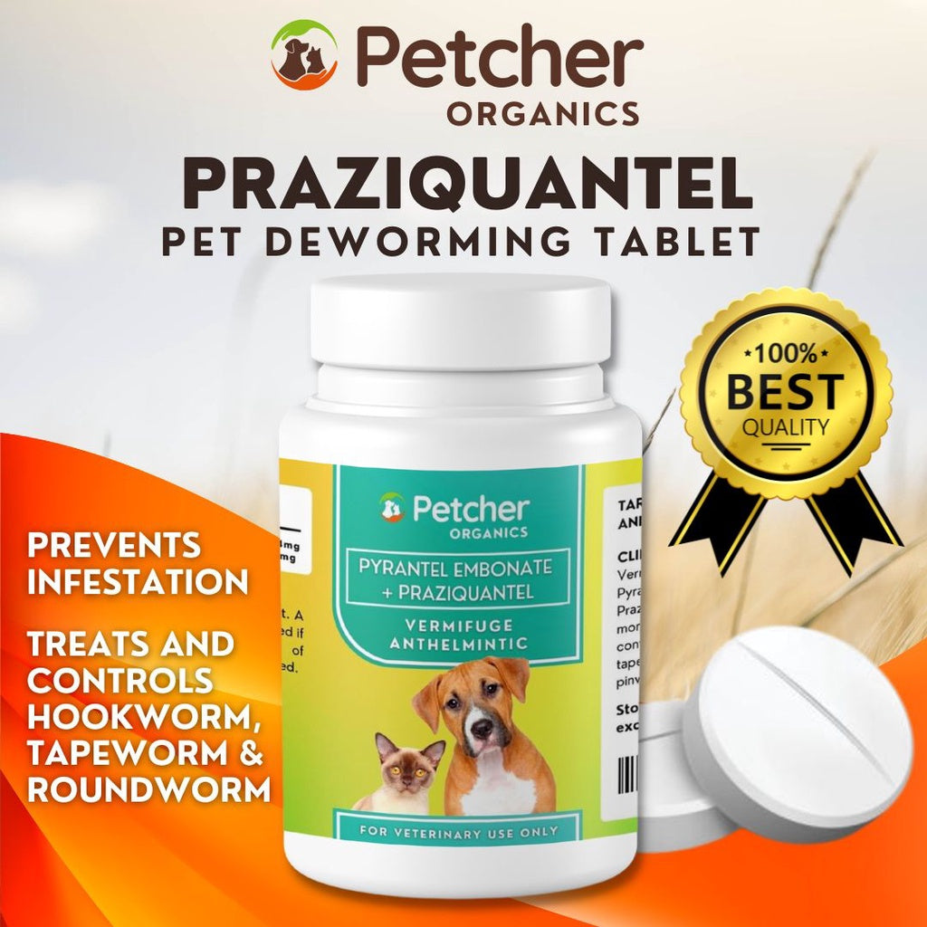 Petcher Praziquantel Tablet 1pc for Dogs and Cats